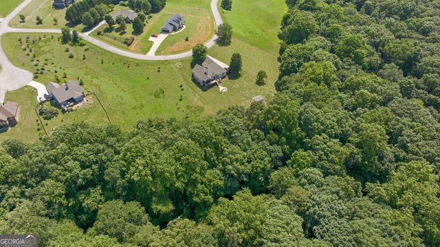 253 Sterling Meadows Drive, Demorest, GA 30535