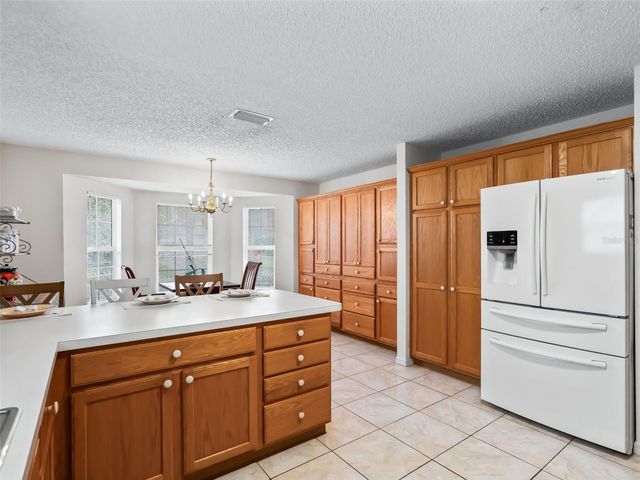 9239 SE 171ST COOPER LOOP, The Villages, FL 32162