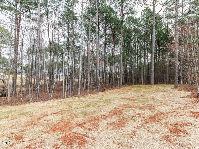 195 Purslane Drive, Franklinton, NC 27525