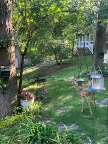 2019 11TH Street Place, East Moline, IL 61244