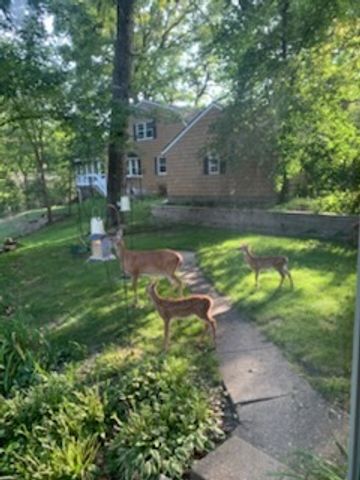 2019 11TH Street Place, East Moline, IL 61244