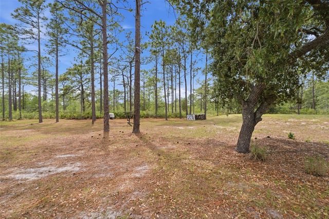 18043 PALMDALE ROAD, Weeki Wachee, FL 34614