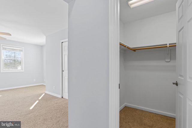 17717 PEPMEIER HILL RD, Woodford, VA 22580