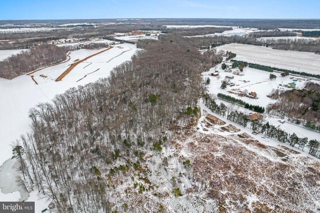 17717 PEPMEIER HILL RD, Woodford, VA 22580