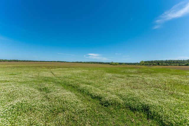Parcel B Adams Drive, Defuniak Springs, FL 32433