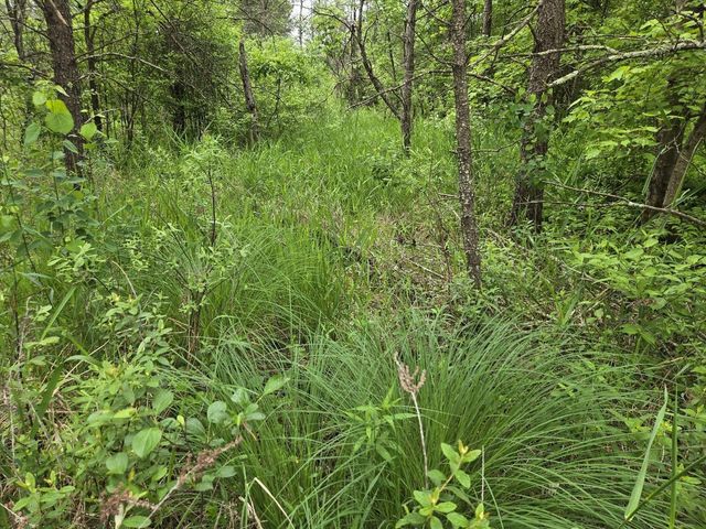 10 Acres 25th Street, Necedah, WI 54646