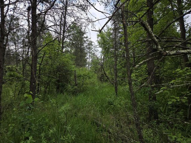 10 Acres 25th Street, Necedah, WI 54646