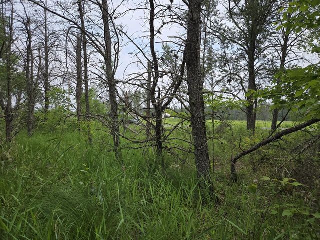 10 Acres 25th Street, Necedah, WI 54646