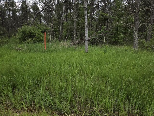 10 Acres 25th Street, Necedah, WI 54646