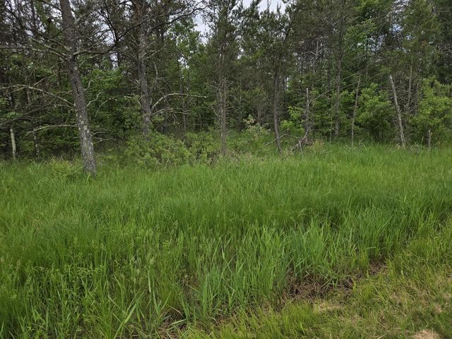 10 Acres 25th Street, Necedah, WI 54646