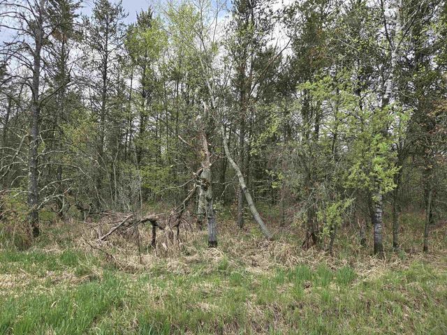 10 Acres 25th Street, Necedah, WI 54646