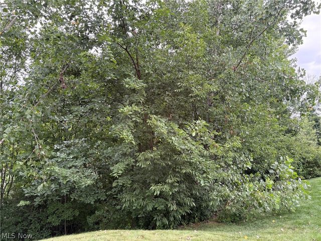 147 Quartz Avenue, Peninsula, OH 44264