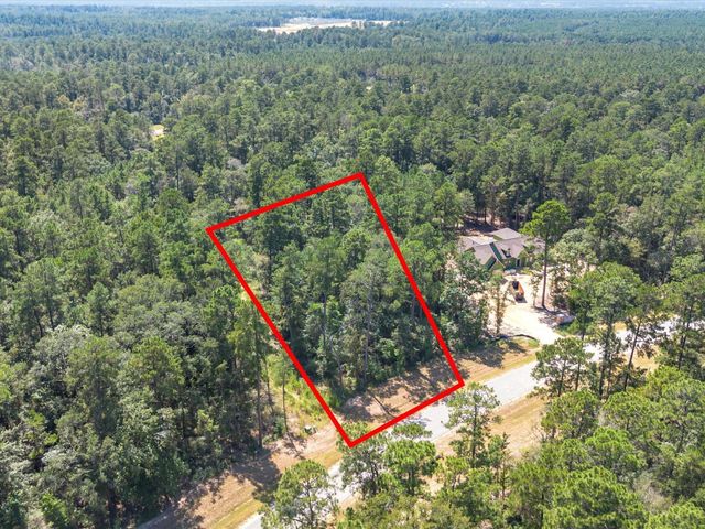 15621 Wood Grove Way, Willis, TX 77378