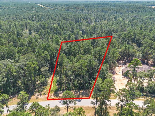 15621 Wood Grove Way, Willis, TX 77378