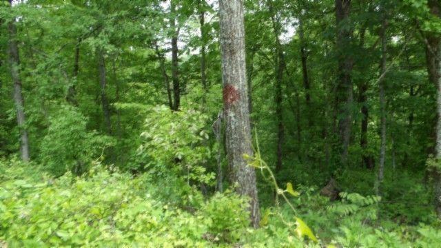 0 Rock Springs Rd, Celina, TN 38551