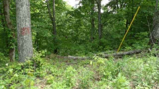 0 Rock Springs Rd, Celina, TN 38551
