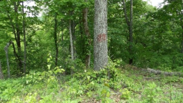 0 Rock Springs Rd, Celina, TN 38551
