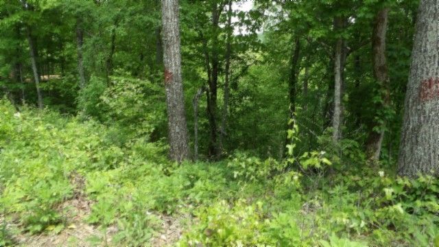 0 Rock Springs Rd, Celina, TN 38551