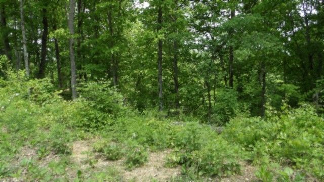 0 Rock Springs Rd, Celina, TN 38551