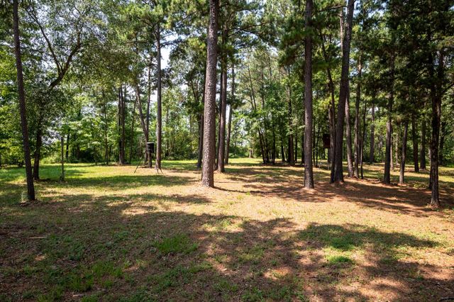10427 Fm 229, Grapeland, TX 75844