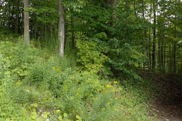 120 Lake Street, Barton, VT 05822