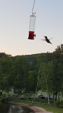 120 Lake Street, Barton, VT 05822