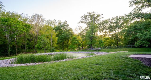 514 S Barn Hollow Drive, Athens, IL 62613