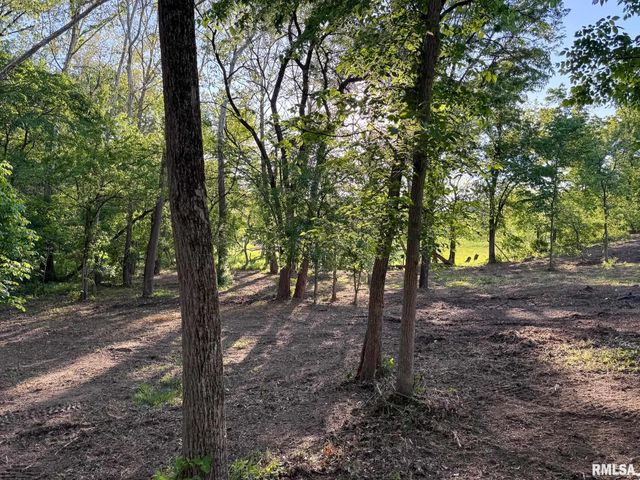514 S Barn Hollow Drive, Athens, IL 62613