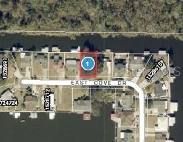 E COVE DRIVE, Tavares, FL 32778