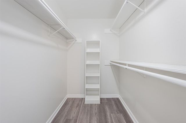 6215 Portal Drive, Houston, TX 77096