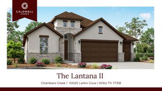 10025 Larkin Cove, Willis, TX 77318