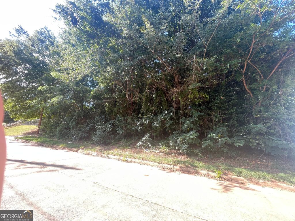 45 Pine Street, Griffin, GA 30223 — exterior