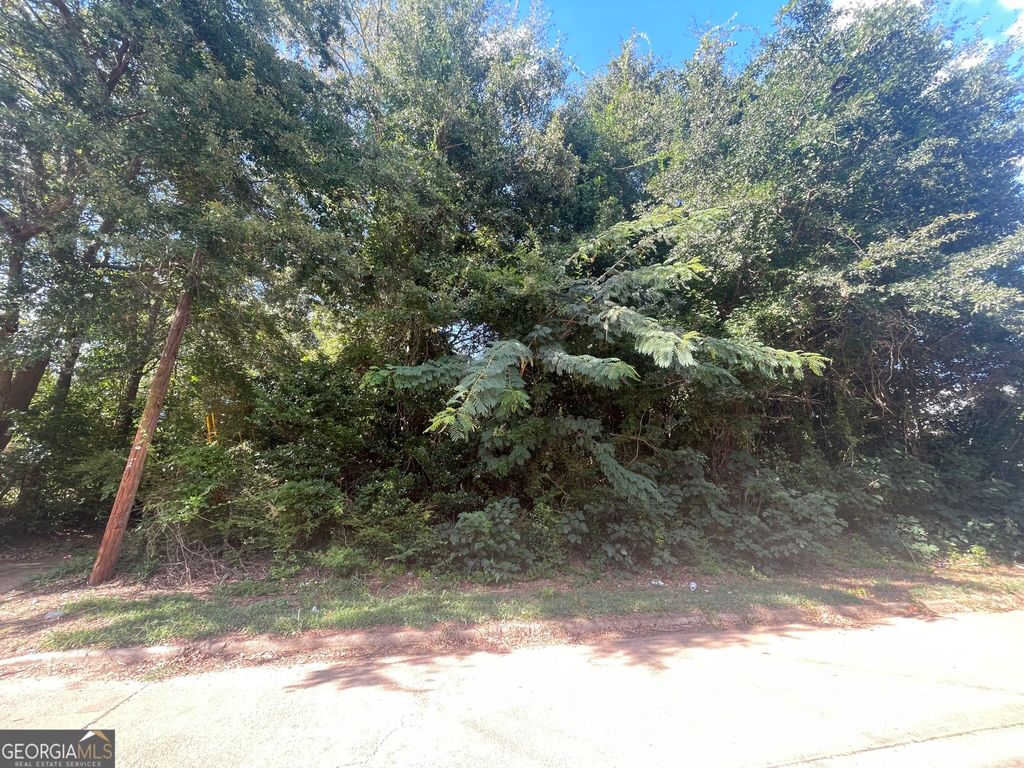 45 Pine Street, Griffin, GA 30223 — photo 3