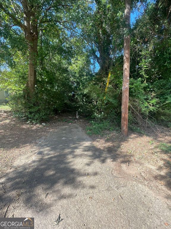 45 Pine Street, Griffin, GA 30223 — photo 4
