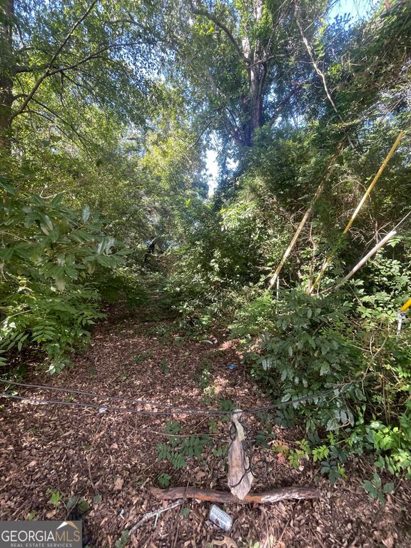 45 Pine Street, Griffin, GA 30223 — photo 5