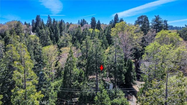 28975 Alder Terrace, Cedar Glen, CA 92321