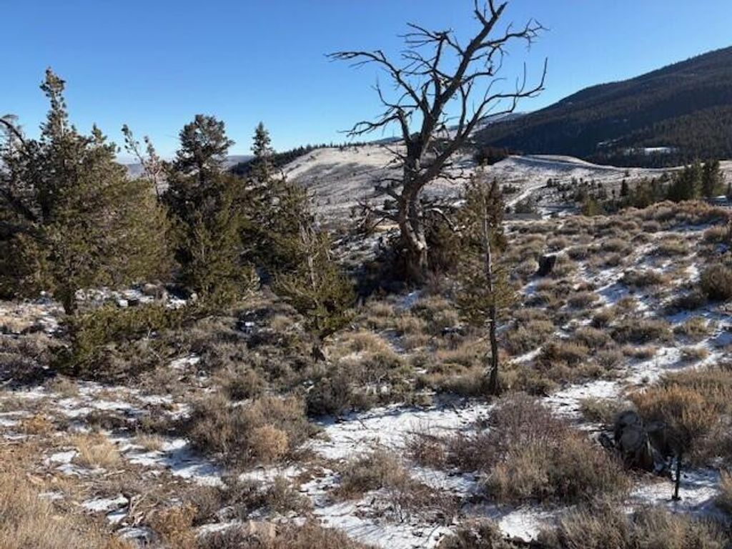 107 Soda Springs Drive, Dubois, WY 82513 photo 3