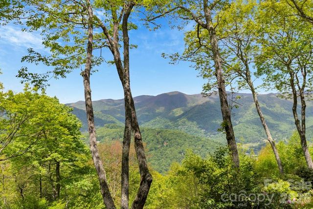 35 Falcon Crest Loop, Maggie Valley, NC 28751