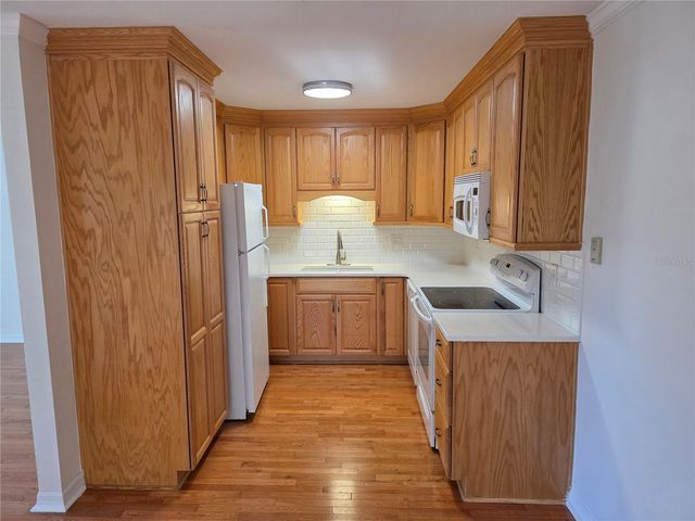 14602 PINE GLEN CIRCLE, Lutz, FL 33559