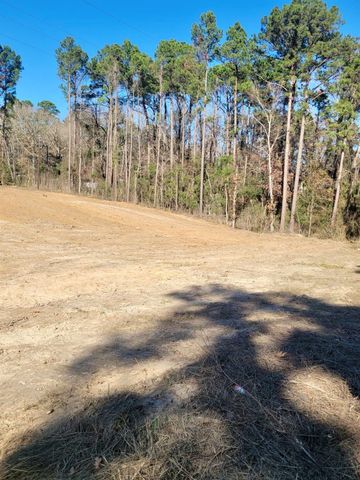 Lot 17 & 18 Old Groveton Road S, Onalaska, TX 77360