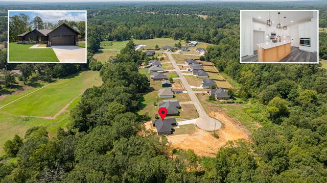 24016 Birdie Ln, Gladewater, TX 75647