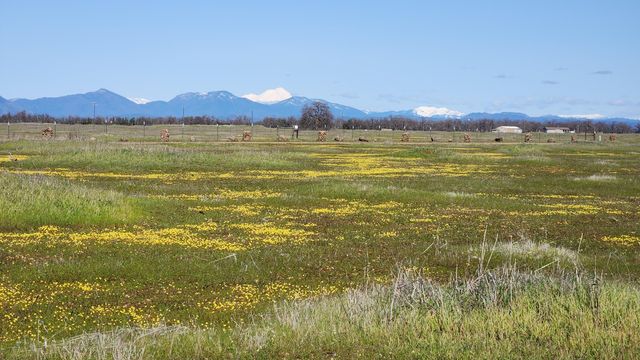Antler Road, Millville, CA 96062