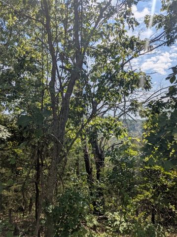 29 Cypress Point Lane, Holiday Island, AR 72631