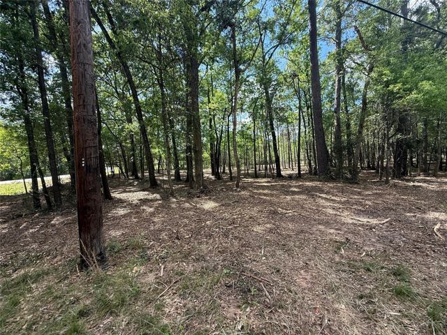 0 Daniel Street, Magnolia, TX 77354