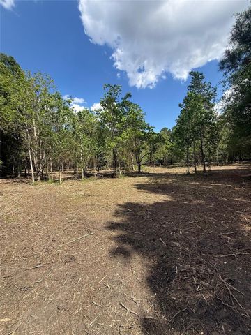 0 Daniel Street, Magnolia, TX 77354