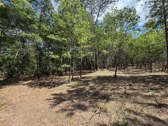 0 Daniel Street, Magnolia, TX 77354
