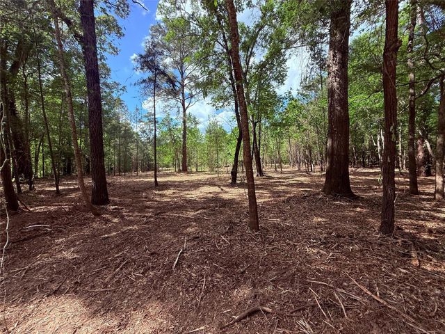 0 Daniel Street, Magnolia, TX 77354