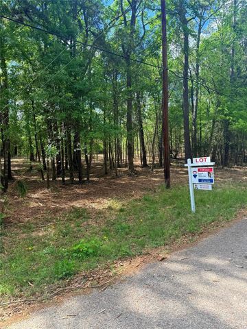 0 Daniel Street, Magnolia, TX 77354
