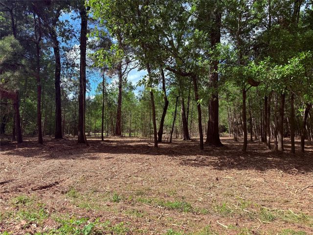 0 Daniel Street, Magnolia, TX 77354