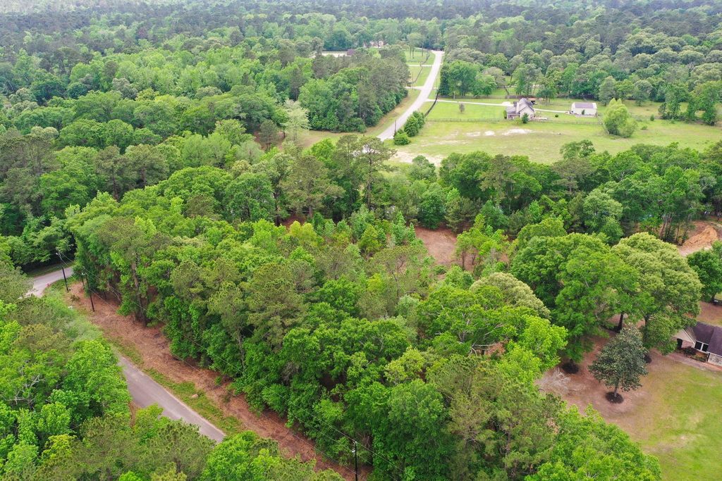 0 Daniel Street, Magnolia, TX 77354